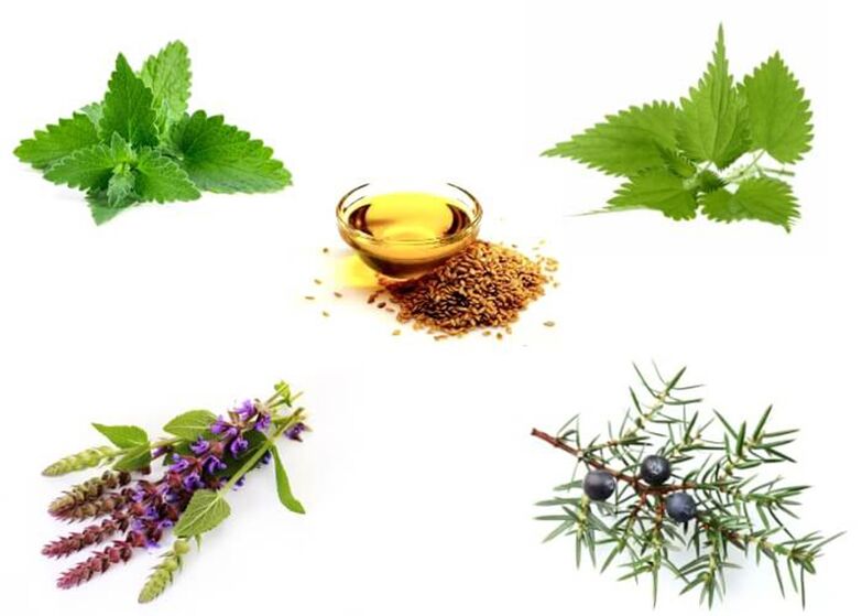 MINT, NAR, TOMIL, JIMBRY AND FLOOR OIL