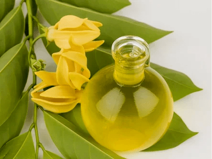 Aromatherapy to improve power